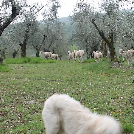 Farm stay Piccolo Campagna *
